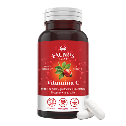 Vitamina C Lipozomala, 90 capsule, Faunus