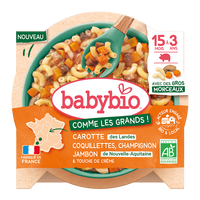 Meniu Bio Morcovi, Ciuperci, Jambon si Paste, + 15 luni, 200 g, BabyBio