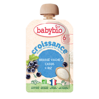 Piure Bio Pouch cu Lapte, Coacaze Negre si Orez, + 6 luni, 100 g, BabyBio