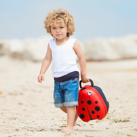 Olita portabila cu capac pentru copii, Ladybug, My Carry Potty 789273