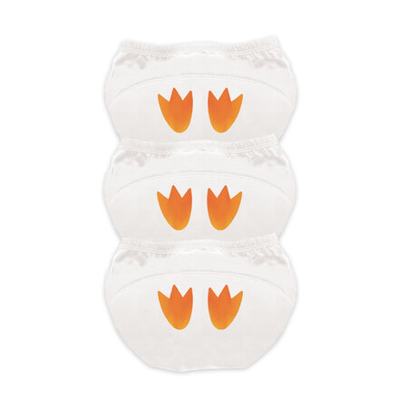 Chilotei pentru antrenament la olita My Little Training Pants, Pinguin, 18-24 luni, 1 bucata, My Carry Potty 789369