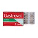 Gastroval Fluxus, 15 capsule, Holistic One 789487
