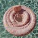 Colac pentru bebelusi, Dreamy Mermaid, + 6 luni, 1 bucata, Little Dutch 790150