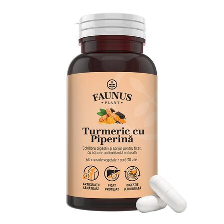 Turmeric cu piperina, 60 capsule, Faunus