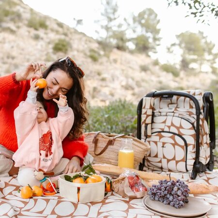 Pachet carucior pentru copii, Joolz Aer2 + Marsupiu pentru toddler, Wildride + Paturica pentru picnic, Boho 792166