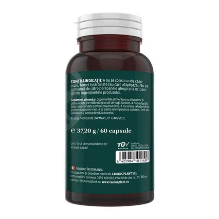Quercetina, 500 mg, 60 capsule, Faunus 792981