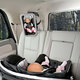 Oglinda retrovizoare, 1 bucata, Britax Romer 794154