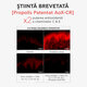 Ser corector antirid cu vitamina C Bee Tech C15, 30 ml, Apivita 795415