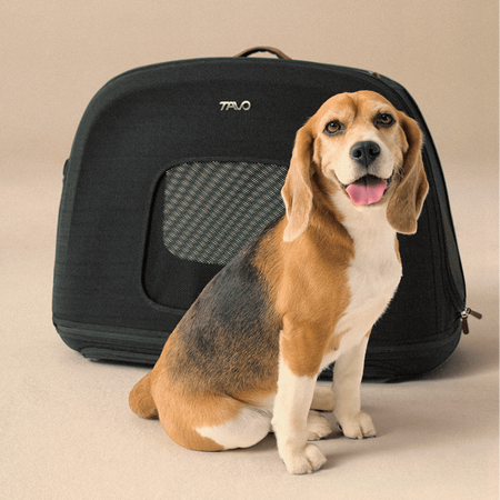 Sistem de transport si protectie pentru animale de companie Crispin Large, Onyx, Tavo 795986