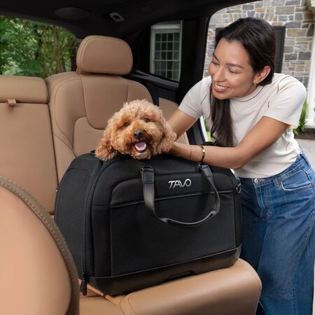 Sistem de transport si protectie auto pentru animale de companie Hendrick, Onyx, Tavo 796026