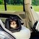Sistem de transport si protectie avion/auto pentru animale de companie Dupree I Merle, Tavo 796110