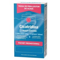 Pachet Spray + Unguent, 125 ml + 60 g, Cicatridina