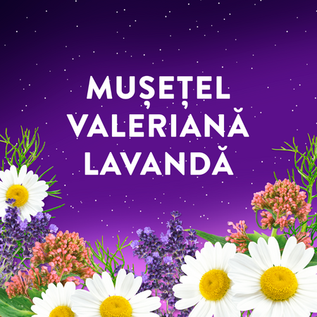 Melatonina cu amestec de musetel, valeriana si lavanda, 60 jeleuri, ZzzQuil Natura 796525