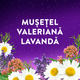 Melatonina cu amestec de musetel, valeriana si lavanda, 30 jeleuri, ZzzQuil Natura 796539