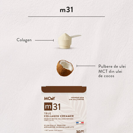 True Collagen Creamer m31 cu colagen bovin si MCT din cocos, 210 g, Molecules of Youth 797120