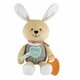 Jucarie din plus cu inel gingival My Sweet DouDou, Bej, Iepuras, 0 luni+, Chicco 799436