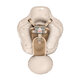 Colac gonflabil de inot pentru bebelusi Swim Pro, Beige, 6-36 luni, Sipo 802296