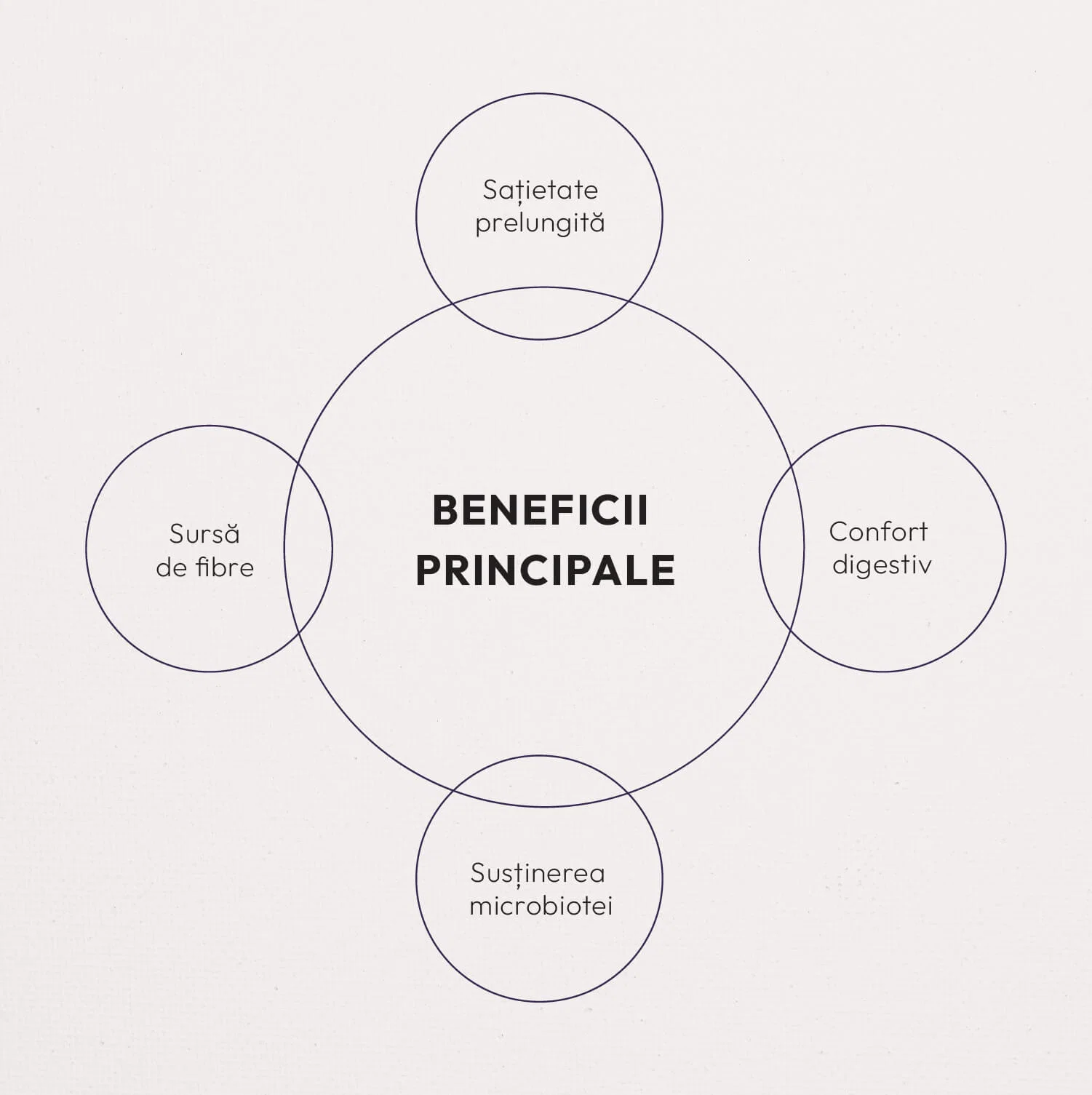 Beneficii principale: sațietate prelungită, sursă de fibre, confort digestiv, susținerea microbiotei