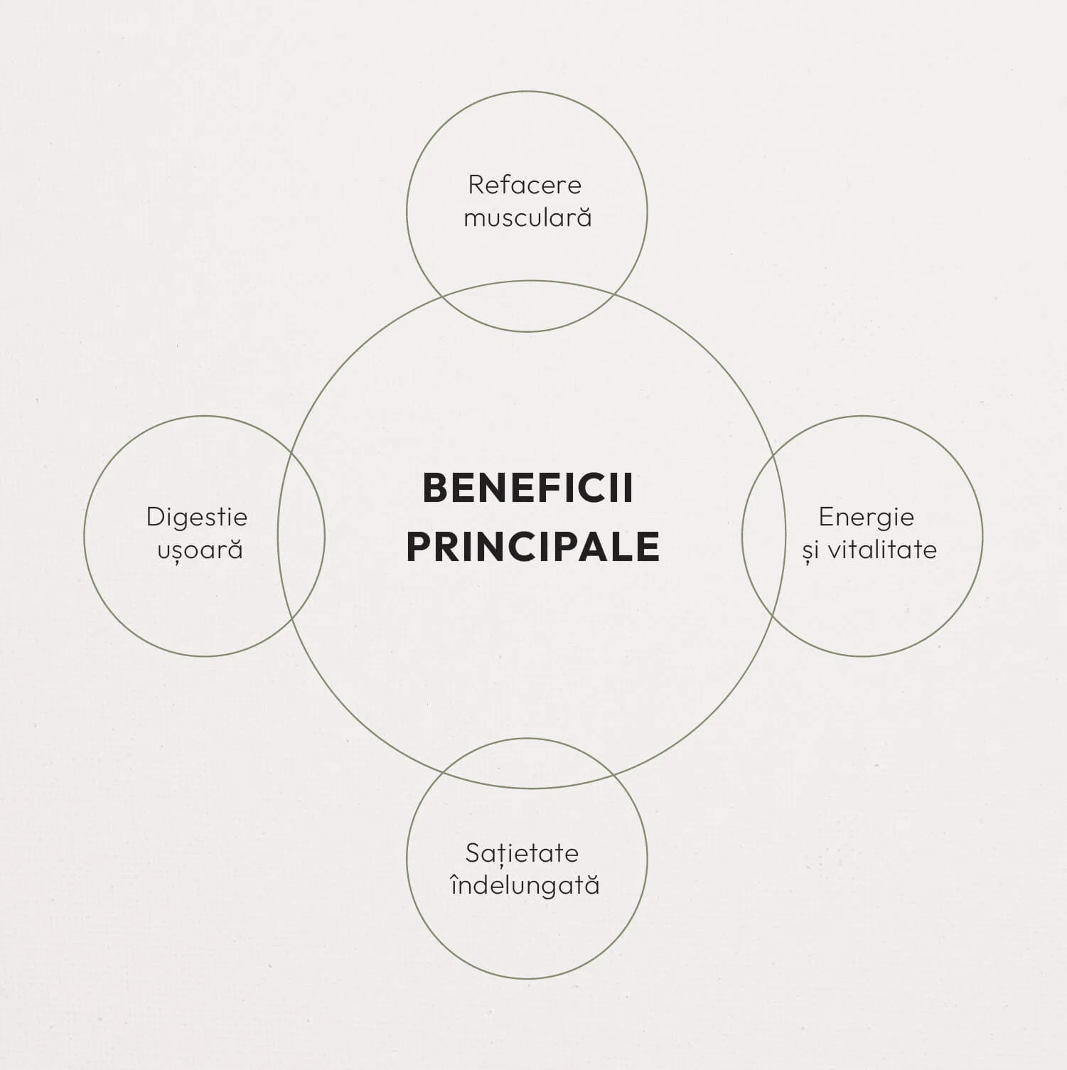 Beneficii principale: refacere musculară, digestie ușoară, energie și vitalitate, sațietate îndelungată