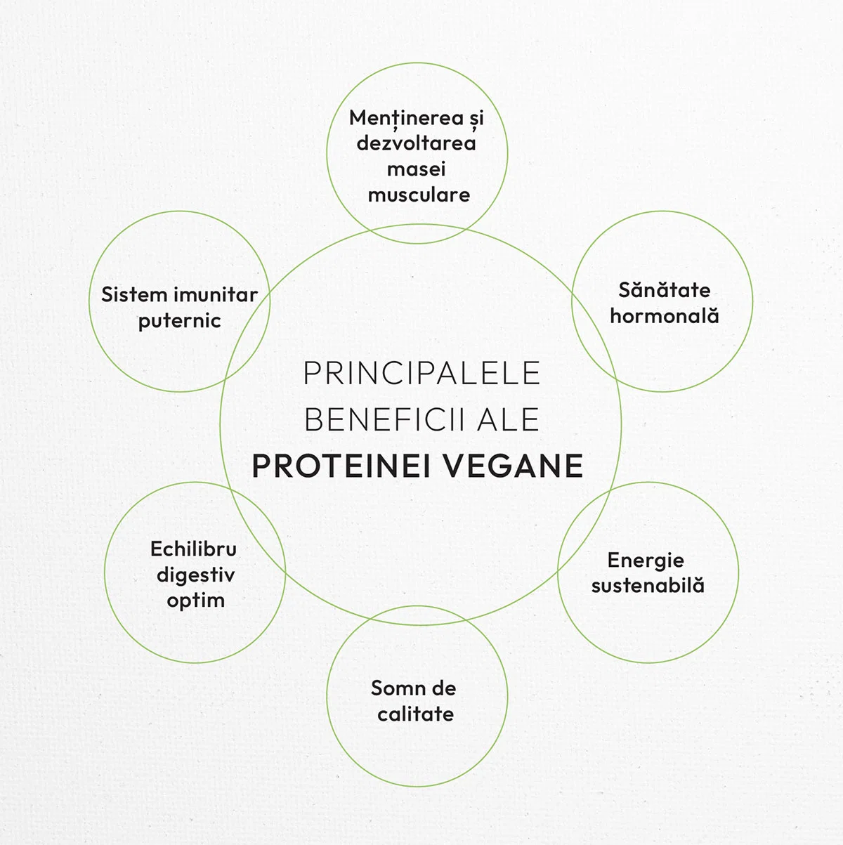 VEGAN PROTEIN 70% products