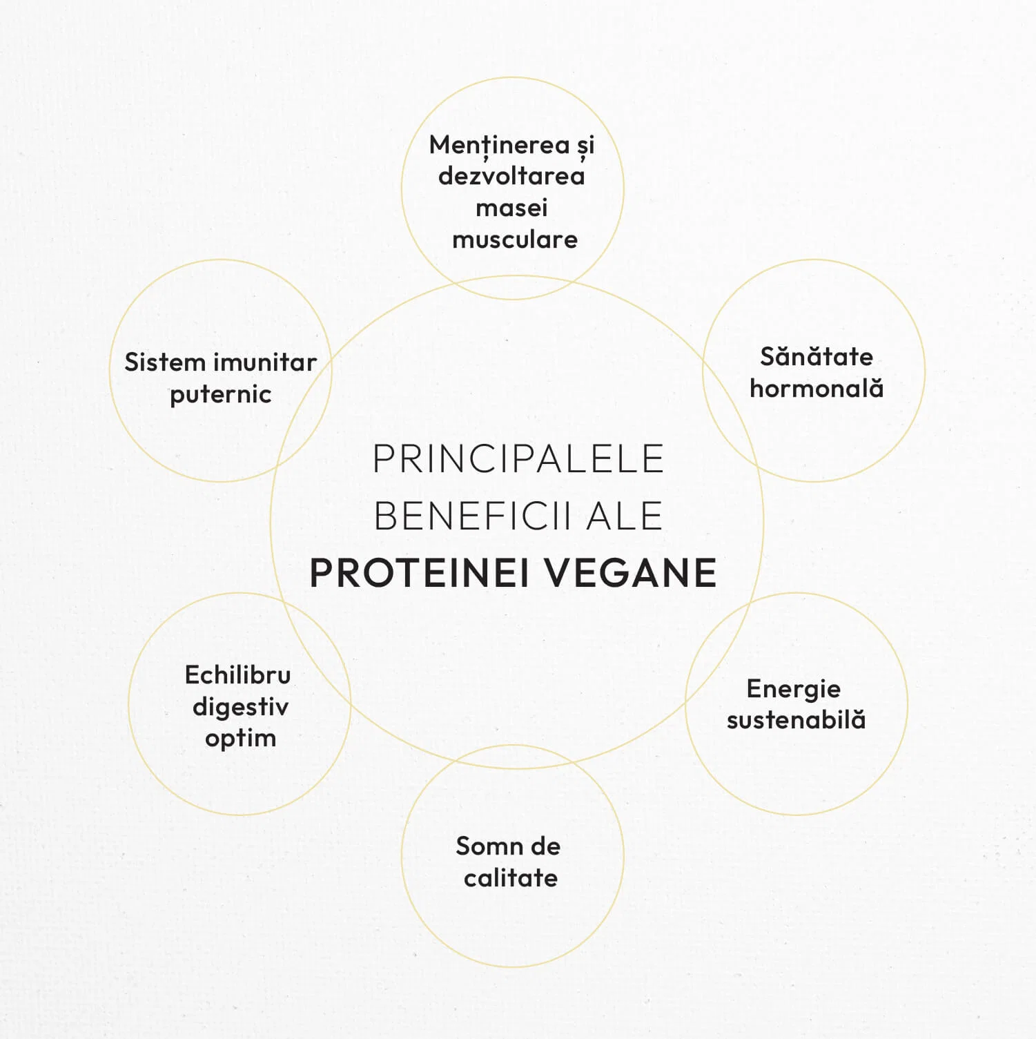 VEGAN PROTEIN 70% products