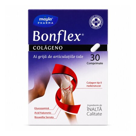 BONFLEX COLAGENO X 30 CPR BIOGEL