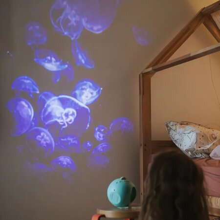 Proiector educativ cu 6 discuri KidyStar, Ocean and Seas,, 3 ani+, Kidywolf 805582