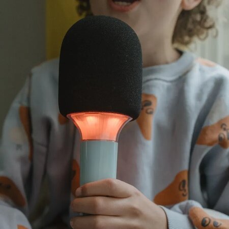 Microfon karaoke pentru copii cu efecte vocale si lumini LED KidyMic, Green, 4 ani+, Kidywolf 805655