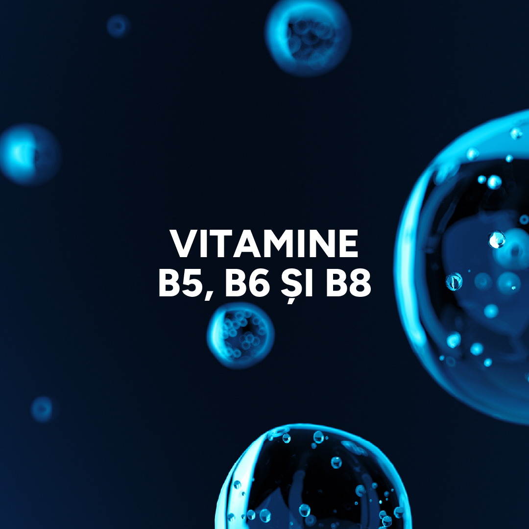 Vitamine B5 B6 si B8