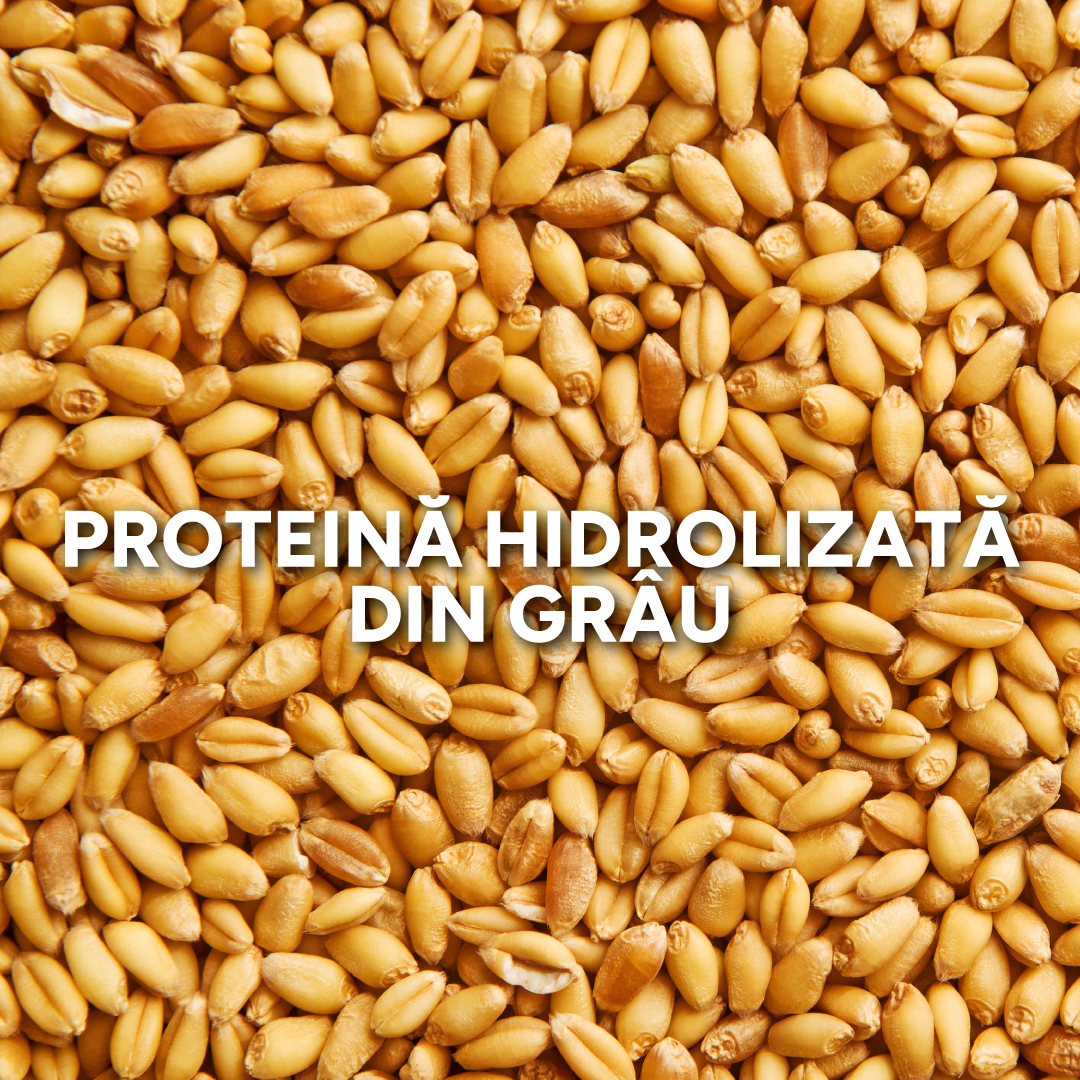Proteina hidrolizata din grau