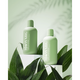 Sampon pentru scalp predispus la matreata Cure, 250 ml, Ida Warg 808145