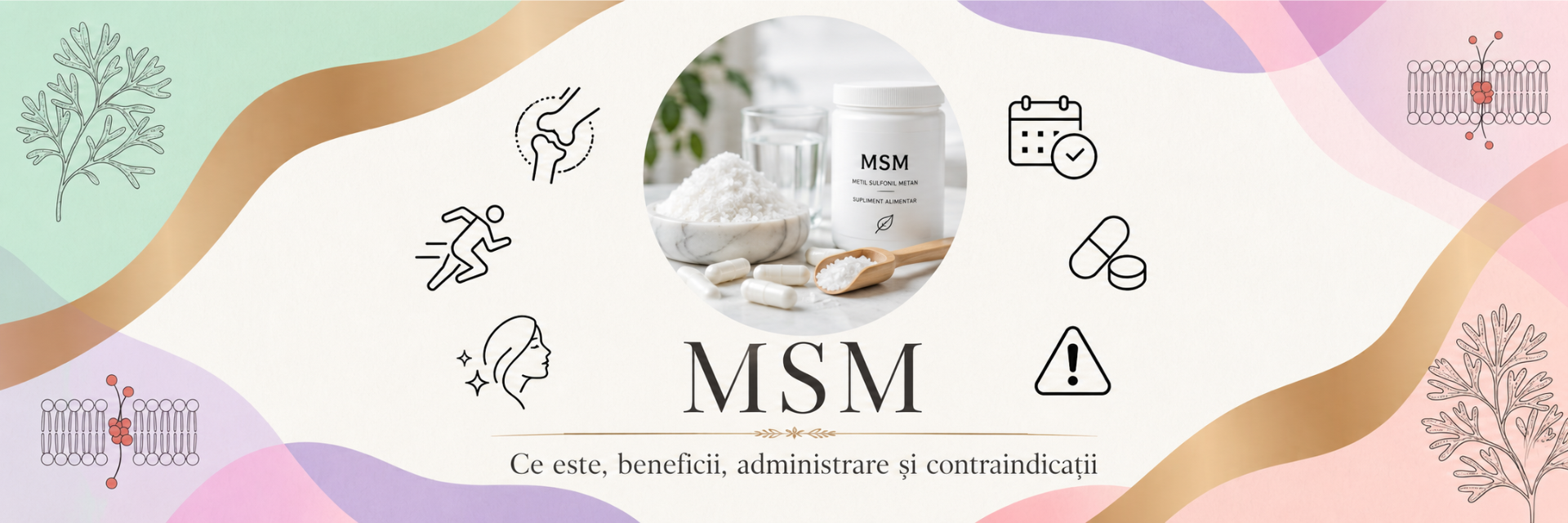 MSM: ce este, beneficii, administrare și contraindicații