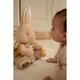 Jucarie din plus senzoriala Baby Bunny Newborn Naturals, 0 luni+, Little Dutch 808623
