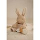 Jucarie din plus senzoriala Baby Bunny Newborn Naturals, 0 luni+, Little Dutch 808625