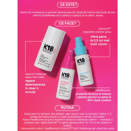 Set pentru repararea, protectia termica si coafarea parului Salon Blowout at Home, K18 809028