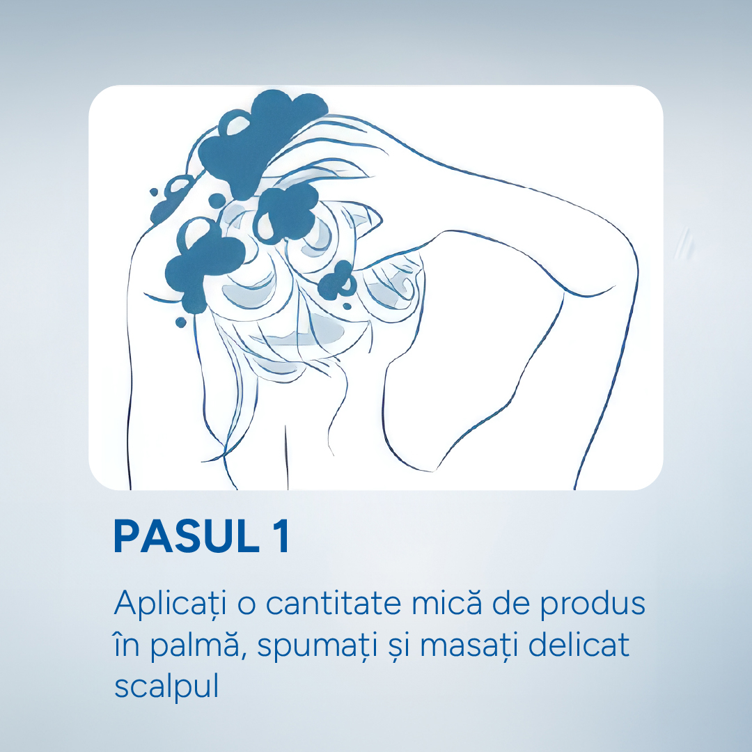 Mod de utilizare - pasul 1