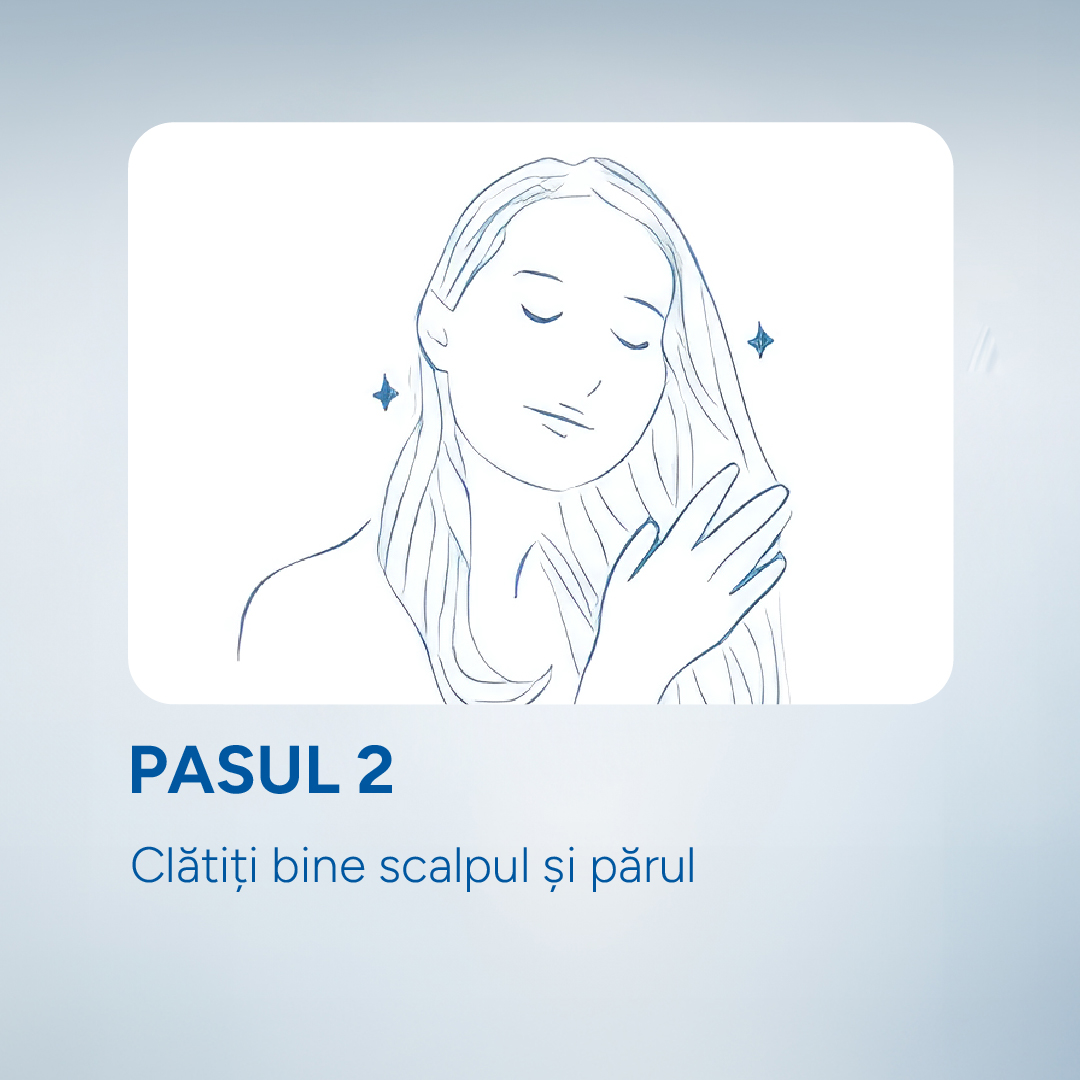 Mod de utilizare - pasul 2