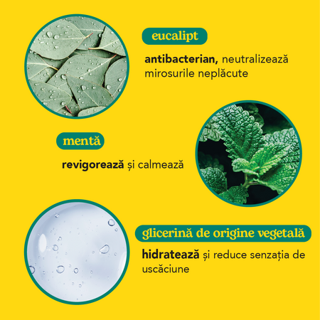 Crema reparatoare pentru picioare, Menta si Eucalipt, 100 ml, Beesline 812607