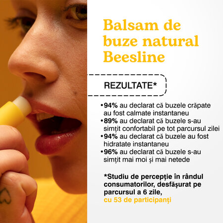 Balsam natural pentru buze, Tropical Lime, 4.5 g, Beesline 812620