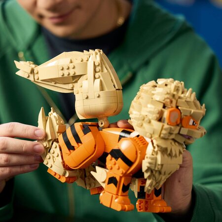 Pokemon Arcanine, 72160, +18 ani, 1190 piese, Lego 813189