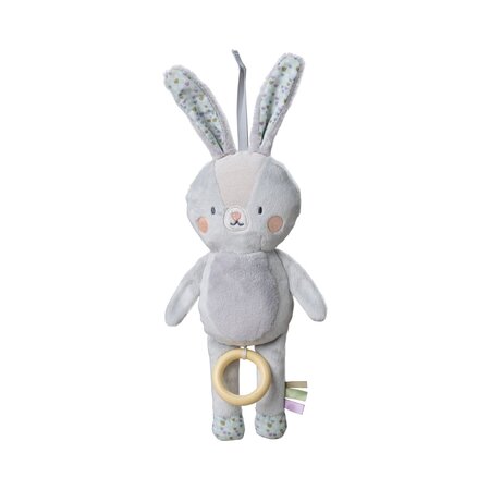 Jucarie muzicala, Rylee The Bunny, 0 luni+, Taf Toys
