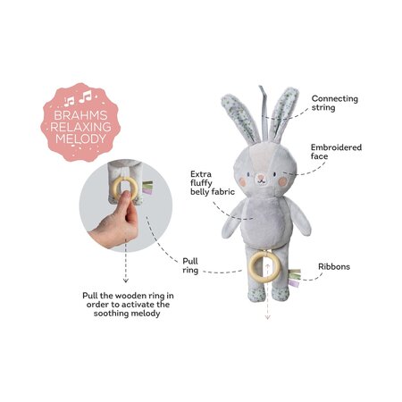 Jucarie muzicala, Rylee The Bunny, 0 luni+, Taf Toys 815616