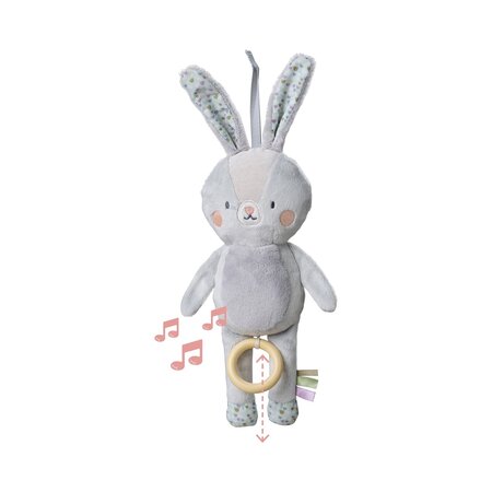Jucarie muzicala, Rylee The Bunny, 0 luni+, Taf Toys 815618