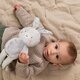 Jucarie muzicala, Rylee The Bunny, 0 luni+, Taf Toys 815617
