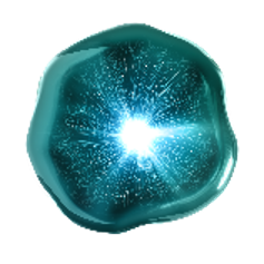 Phylobioma