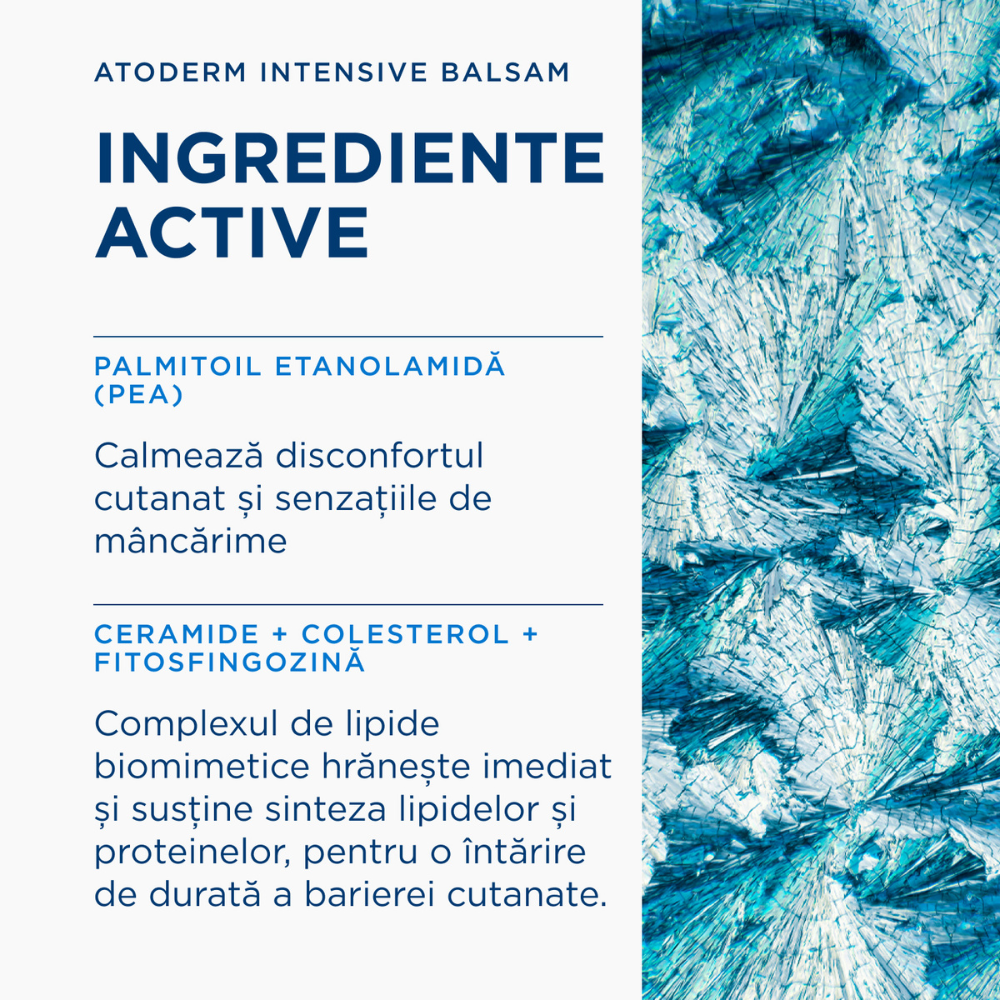 Ingrediente active derma Atoderm Intensive Balsam