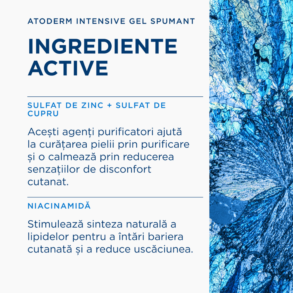 Ingrediente active Bioderma Atoderm Intensive Gel spumant