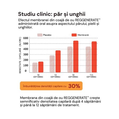 Colagen VG Derma Lift, 42 jeleuri, Mium Lab 821025
