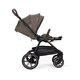 Carucior 2 in 1 Triv LX, Chestnut, Nuna 821039