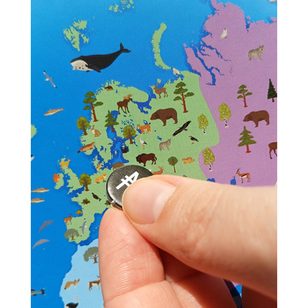 Joc de societate Steagurile Lumii, 8 ani+, Tactic 821204